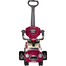 Baby Push And Pull Ride On Car For Kids-Purple image