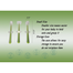 Baby Toothbrush Baby Tongue Cleaner for 0-18 Months 3 Pcs Set Olive image