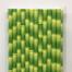 Bamboo Design Plastic Paper Straw - 50 Pcs image