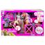 Barbie Groom n Care Doll Playset image