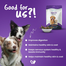 Barkstix Dog Treats Berry Blast 100 gm image
