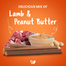 Barkstix Healthy Dog Treats Lamb and Peanut Butter 100 gm image