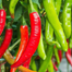 Baromasi Hybrid Super Spicy Chili seeds Re-pack - 1gm image