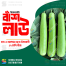 Bash Lau F1 Hybrid Seeds 5 Pcs image