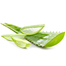 Bcare Aloe Vera No Foaming Shaving Gel - 500 ml image