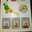 Beautiful Singing Birds Induction Electric Parrot Toy Bird Children Parrot Cage Toys For Kids image