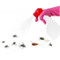 Bed Bug (Charpoka) Control Spray-50ml image