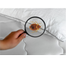 Bed Bug (Charpoka) Control Spray-50ml image