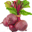 Beet Root Seeds Intact Pack F1 Hybrid (INDIAN) - 15GM image
