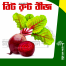 Beet Root Seeds Re-Pack F1 Hybrid (Indian) 0.1gm image