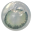 Bella Caribbean Green Color Contact Lens image