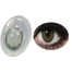 Bella Caribbean Green Color Contact Lens image