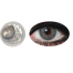 Bella Cool Gray Natural Color Contact Lens image