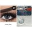 Bella Glitter Grey Color Contact Lens image