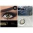 Bella Gold Highlight Color Contact Lens image