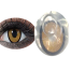 Bella Highlight Cool Hazel Color Contact Lens image
