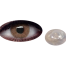 Bella Wild Honey Elite Contact Lens image