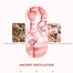 Bioaqua Rose Essential Oil Pure Moisturizing Nursing Flower Essential Rose Oil - 30 ml image