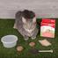 Bioline Cat Grass Kit -12g image