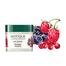 Biotique Berry Plumping Lip Balm – 12g image