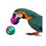 Bird Interactive Bell Ball Toy for Parakeet, Cockatiel, Budgie, Parrot, 1.5 Inch image