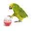 Bird Interactive Bell Ball Toy for Parakeet, Cockatiel, Budgie, Parrot, 1.5 Inch image