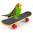 Bird Skateboard Toy Pet Accessories image