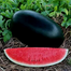 Black Beauty Watermelon Seeds Re-Pack - 5pcs image