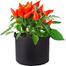 Black Geo Gardening Grow Bag | Geo Grow Bag for Rooftop Gardening – Black 300GSM | 2 Gallon 8x7 inch image
