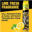 Black Hit Anti Mosquito Aerosol Spray Lime 475ml image