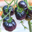 Black beauty Tomato 1Pack Imported image