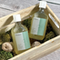 Bonajour Tea Tree Scalp Refreshing Shampoo 320ml image