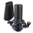 Boya BY-M1000 Pro Large Diaphragm Condenser Microphone image