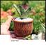 Brikkho Haat Air Purifying Indoor Plants Combo with Tub image