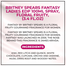 Britney Spears Fantasy EDP 100 ml image