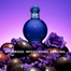 Britney Spears Midnight Fantasy EDP 100 ml image