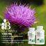 Bronson Milk Thistle 1000 MG – 120 capsules image