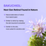By Wishtrend Vitamin A-mazing Bakuchiol Night Cream 30ml image