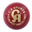 CA 4 Part Leather Cricket Ball - Red image