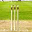 CA Wooden Cricket Stumps - 2 Set image