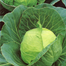 Cabbage Seeds - 0.1 Gm image