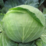 Cabbage Seeds - 0.1 Gm image