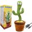 Cactus Dancing Toy – Rechargeable Battery image