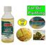 Camel Artist Purified Linseed Oil for Oil Color, 100ml (Yellow) image
