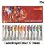 Camel / Camlin Artists Acrylic Color Tube 12 Shades 20ml image