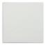 Canvas Square 12inch by 12inch image