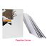 Canvas sheet for acrylic,water and oil painting - 10 Pcs image