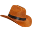 Cat Cowboy Hat || Funny Pet Hat for Puppy Cat image