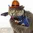Cat Cowboy Hat || Funny Pet Hat for Puppy Cat image
