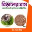 Cat Grass Seeds 1gm Re-Pack image